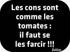 Dictons à la Con : Des Phrases Délirantes Qu