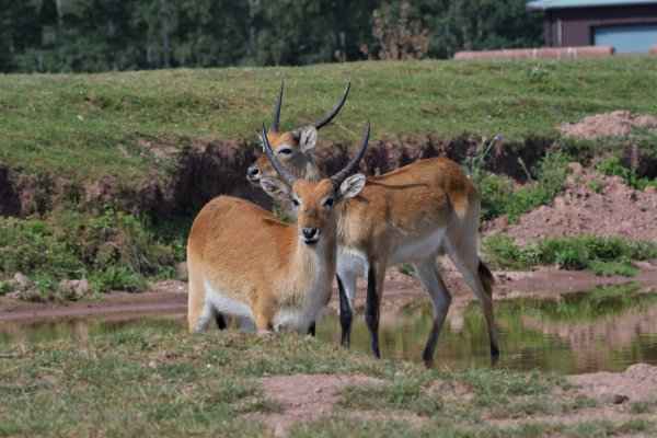  Découvrez les merveilles cachées de l'Afriqu