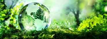 SMS pour souhaiter une joyeuse Journée mondiale de l'environnement : Exemples inspirants et respectueux de l'écosystème